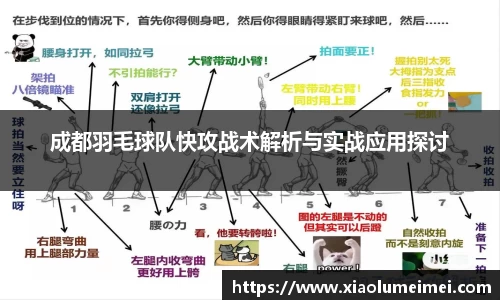 成都羽毛球队快攻战术解析与实战应用探讨